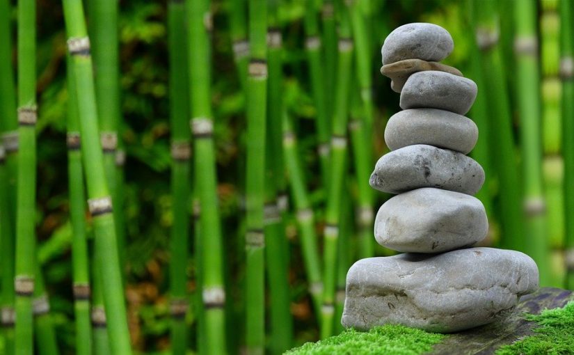 Piękny oraz porządny zieleniec to zasługa wielu godzin spędzonych  w jego zaciszu w trakcie pielegnacji.